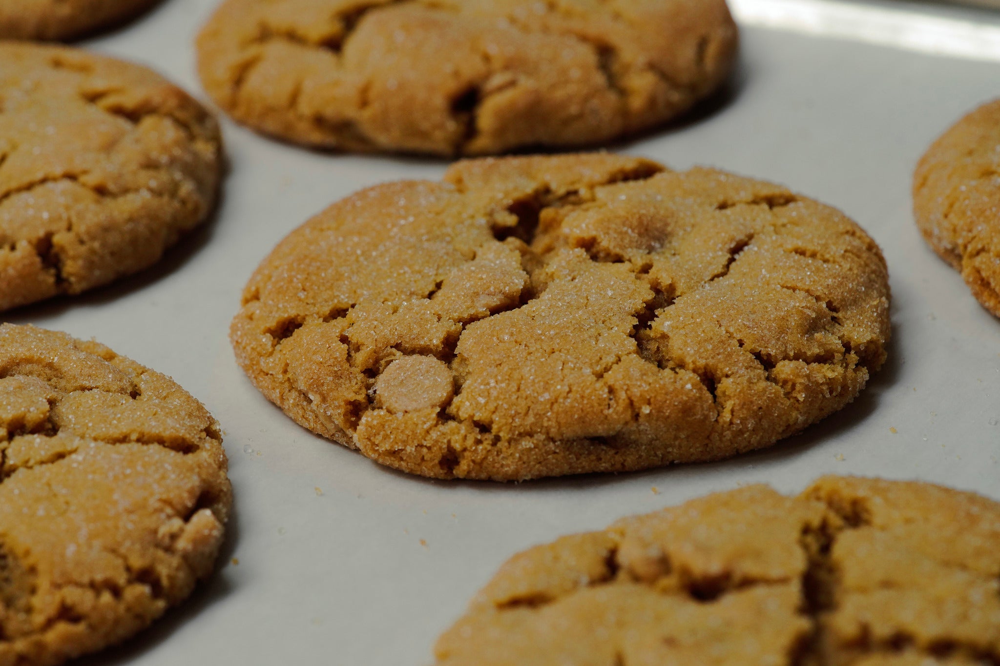 Sweets and Sprouts Bakery